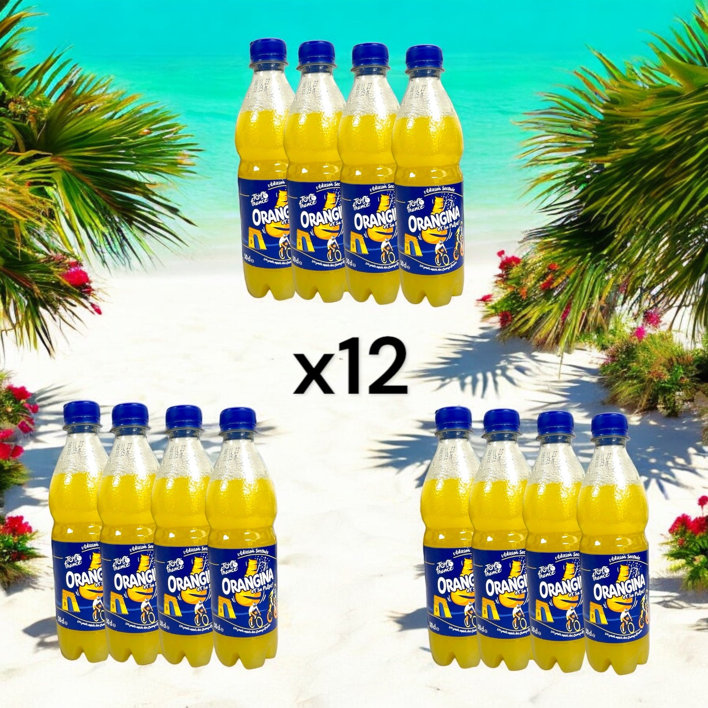 Orangina Citrus Soda Original Plastic Bottle 0.5L 4-pack, 12-pack, 16-pack