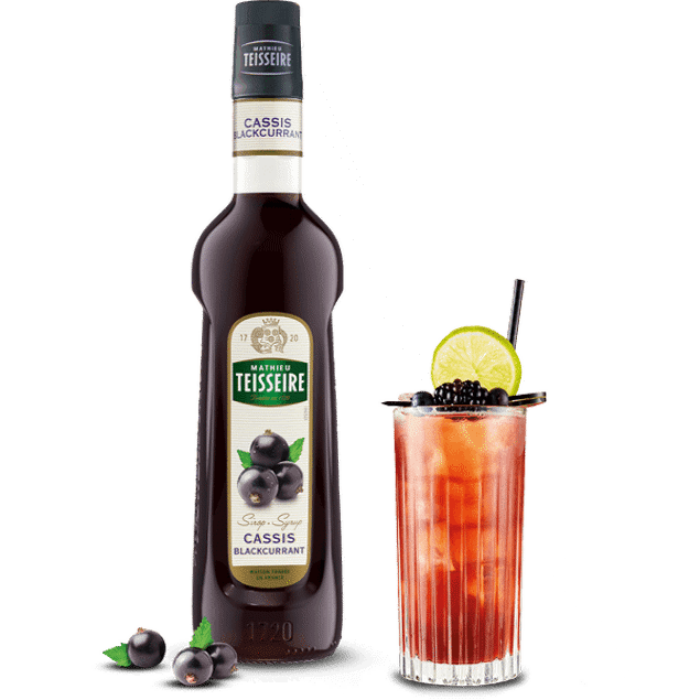 Teisseire Blackcurrant Cassis Syrup Professional, 23.6 fl oz